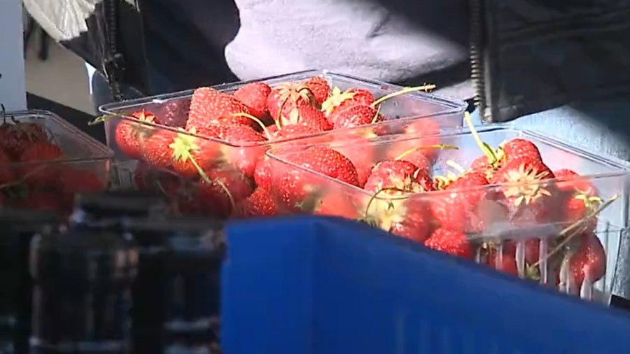 strawberry-festival-sweetens-up-the-day-in-sharon