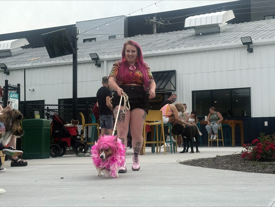 dog-centric-pride-event-helps-raise-funds-for-lgbtq+-community