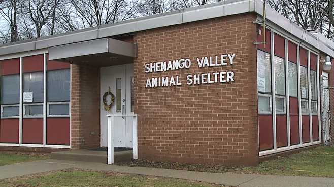 scammer-tries-to-swindle-local-animal-shelter
