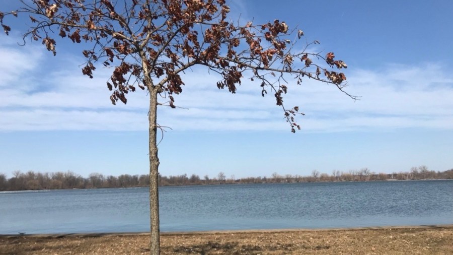 presque-isle-state-park-getting-funding-for-beach-preservation