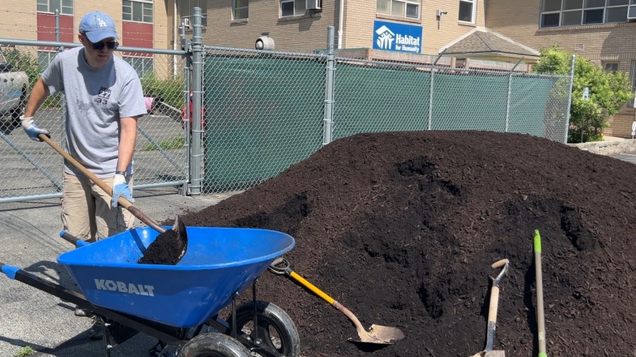 mulching:-are-you-doing-it-wrong?
