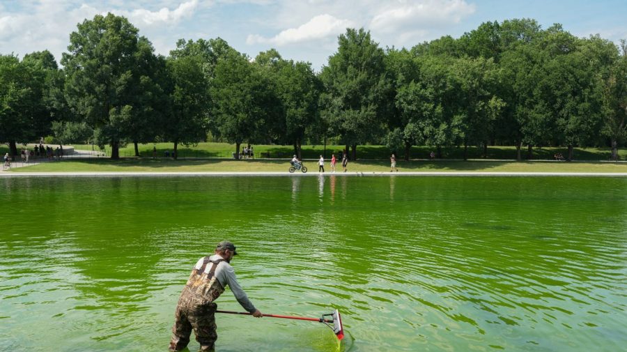 workers-dump-hydrogen-peroxide-into-reflecting-pool-to-fight-algae 