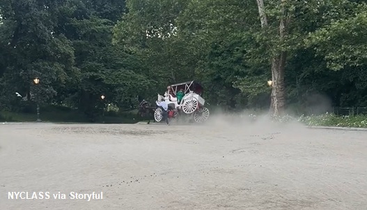 teen-dies-after-being-thrown-from-horse-drawn-carriage-in-central-park:-nypd