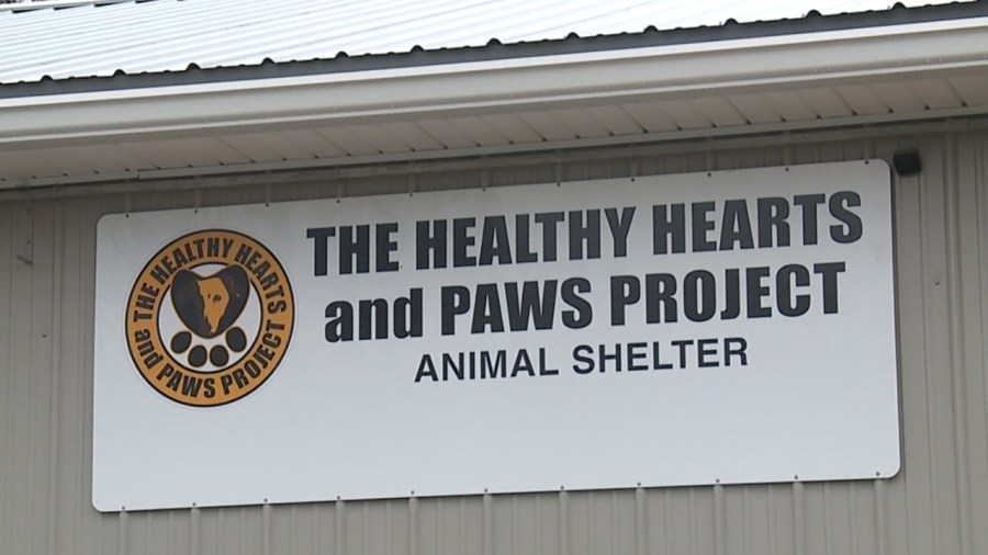 operation-‘woah-nellie’-in-masury-forces-shelter-to-stop-animal-intake