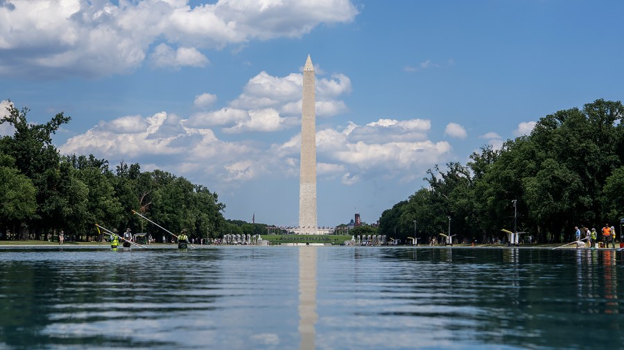 dead-duckling-found-in-reflecting-pool