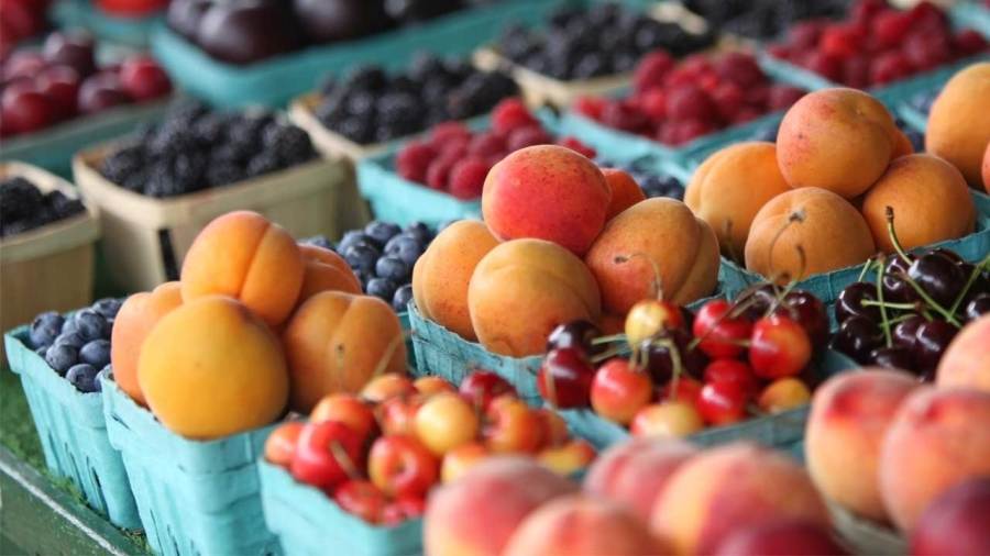 farmers-market-to-be-held-in-newton-falls