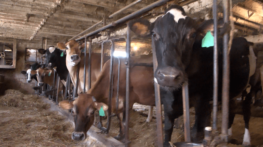 proposed-‘brews-to-barns-act’-would-incentivize-farm-and-brewery-partnerships