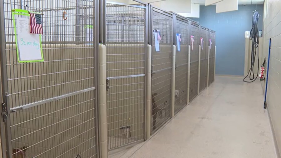 local-shelters-struggle-to-keep-up-with-rising-demands,-costs