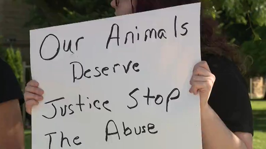 protestors-in-warren-fight-for-stricter-animal-abuse-laws