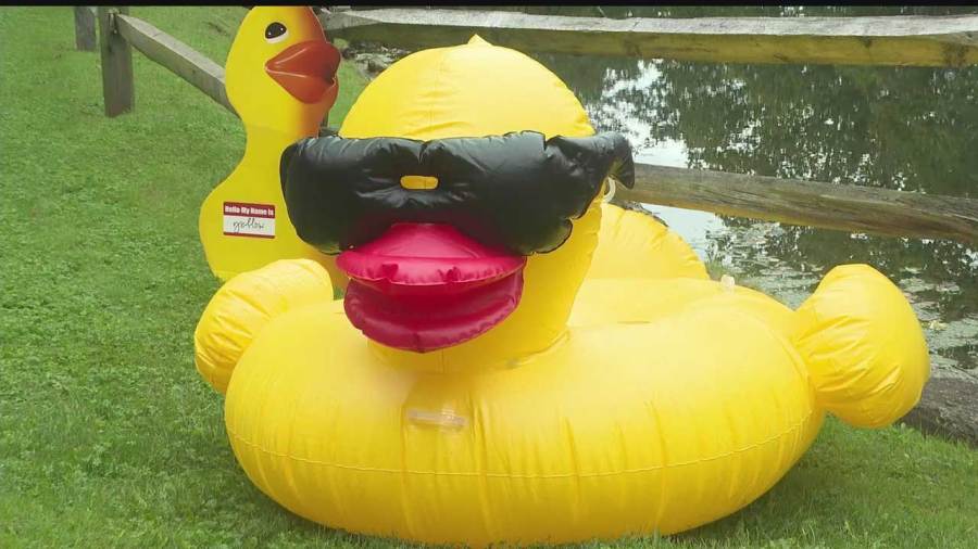 warren-rotary-river-duck-festival-to-be-held-in-warren