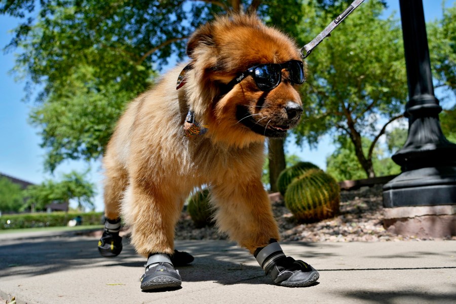 why-it’s-important-to-wear-sunglasses