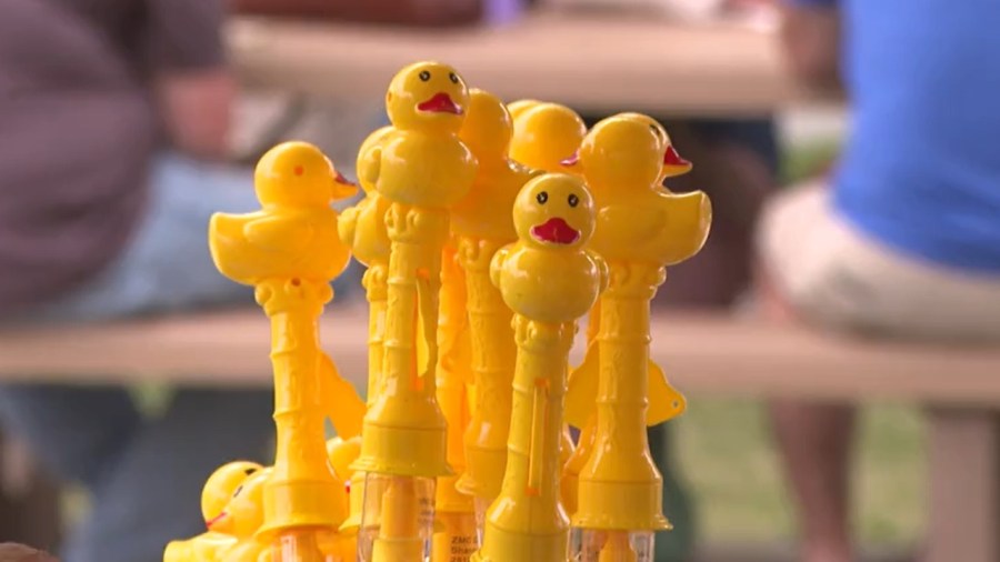 thousands-of-rubber-ducks-prepare-to-race-at-warren’s-river-duck-festival