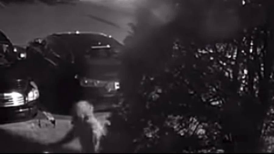 police-searching-for-serial-prowler-targeting-seniors-in-alliance