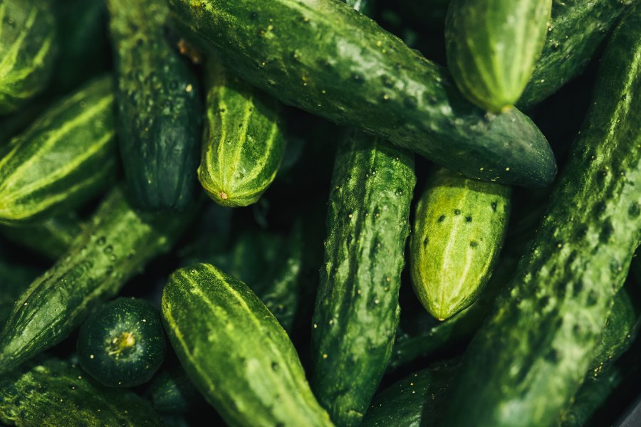 cucumber-haul-used-to-smuggle-$3.7m-in-cocaine,-cbp-says