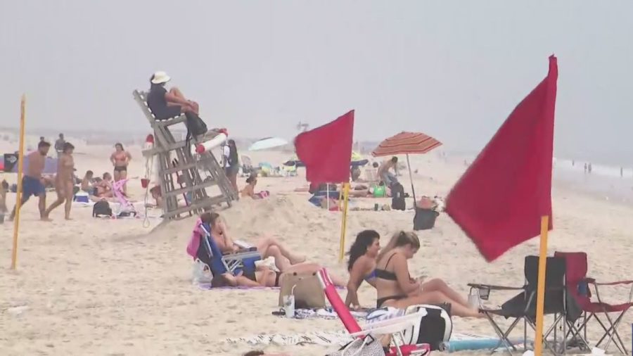 shark-bites-swimmer-at-new-york-beach