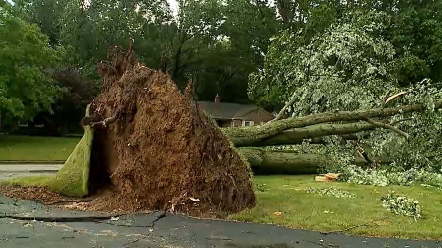 strong-storm-uproots-old-tree-in-boardman-neighborhood