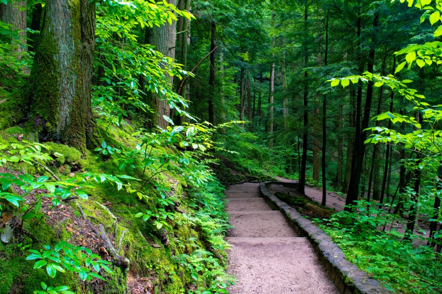coroner’s-report:-iowa-woman-slipped-off-berm-next-to-hocking-hills-hiking-trail