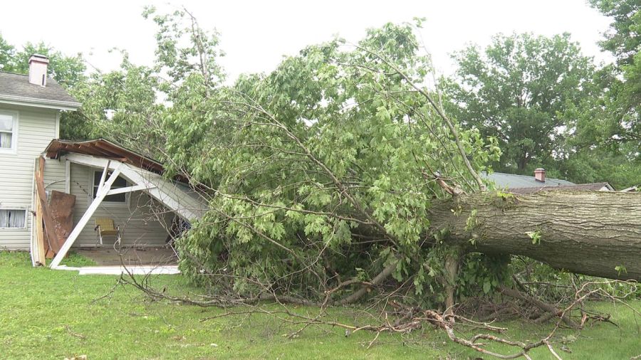 fallen-tree-halts-home-renovation-in-austintown-after-storm