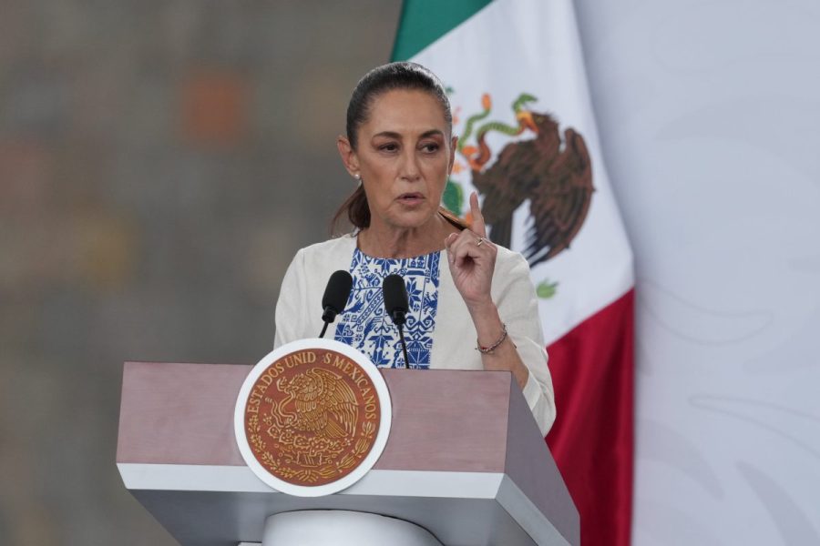 mexico-wants-criminal-investigation-after-man-killed-by-ice
