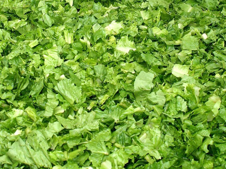 lettuce-linked-to-explosive-diarrhea-outbreak