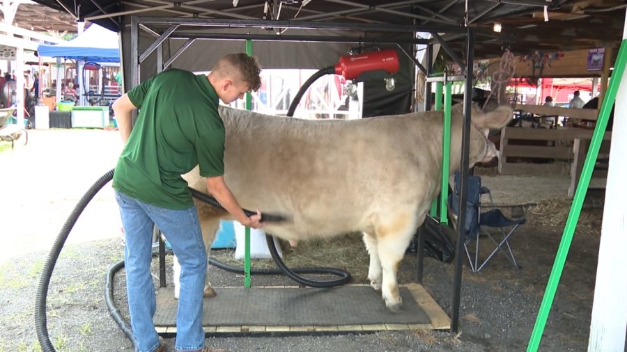 4-h-program-provides-valuable-life-skills-while-being-fun-for-kids