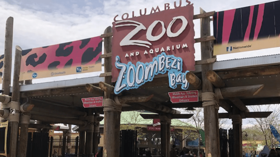 columbus-zoo-mourns-loss-of-beloved-moose