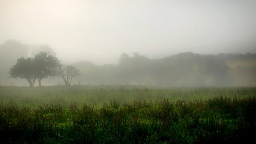 air-quality-alert:-wildfire-smoke-to-fill-the-valley-air-thursday