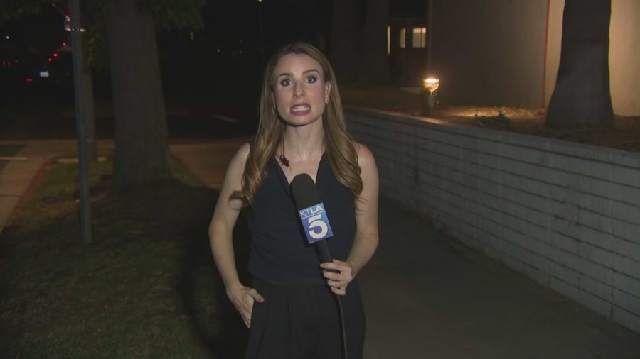 ‘i-knew-it-was-on-me’:-video-shows-reporter-power-through-live-report-as-cockroach-crawls-on-her