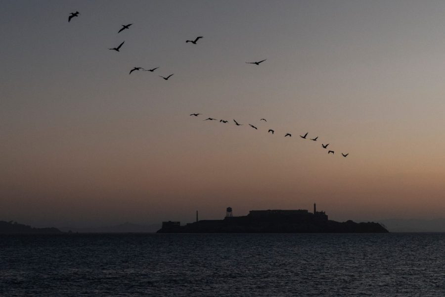 captain-describes-haunting-scene-where-boat-sank-near-alcatraz-with-20-on-board
