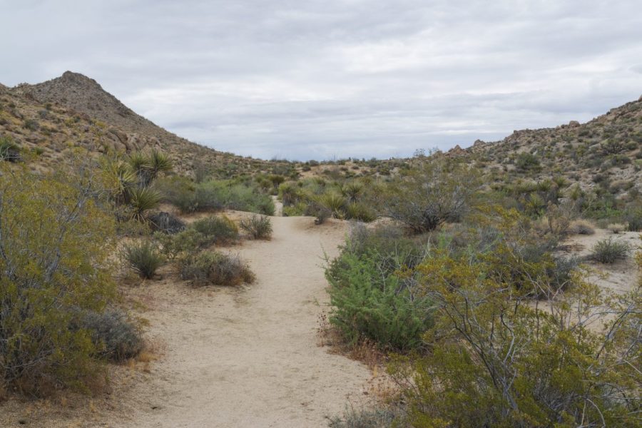 remains-of-murder-victim-found-in-1981-identified-as-missing-california-millionaire 