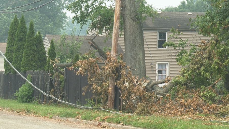 county-planning-sweep-of-storm-damaged-areas-to-pick-up-brush