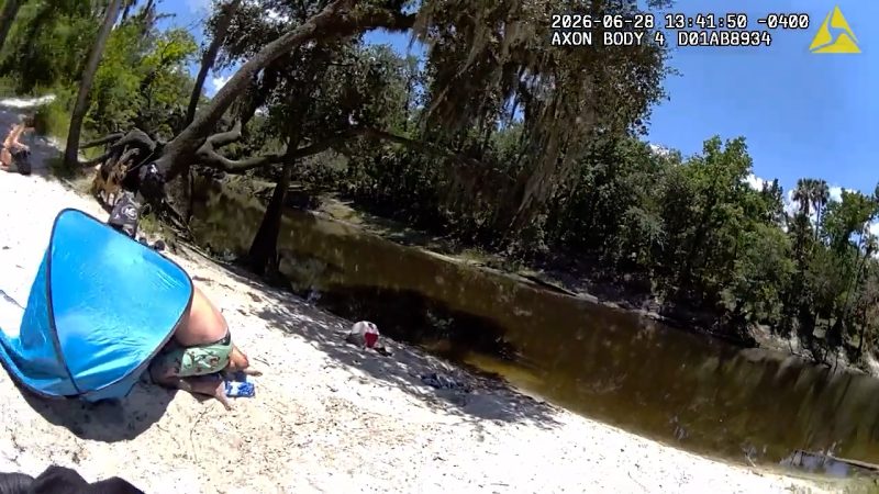 13-foot-alligator-confirmed-as-killer-of-florida-woman,-fwc-says