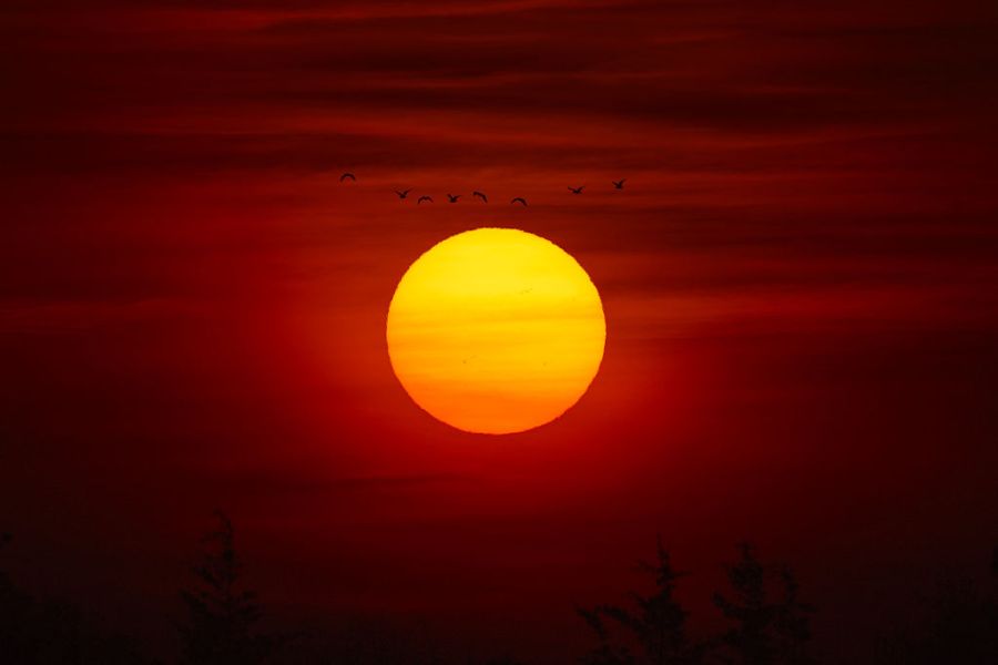 should-you-run-ac-when-the-air-is-filled-with-wildfire-smoke?