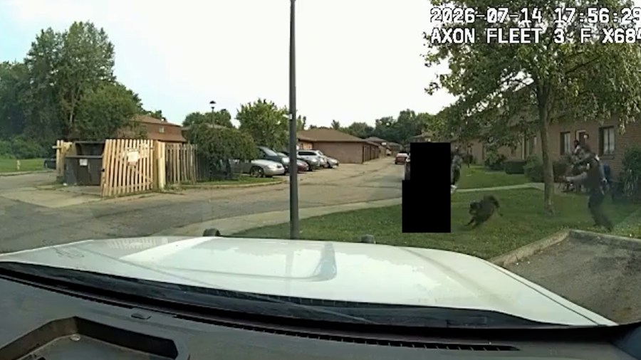 dash-camera:-columbus-police-officer-shot-by-partner-aiming-at-charging-dog