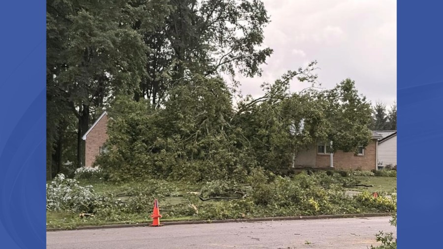 photos:-storm-damage-in-the-valley