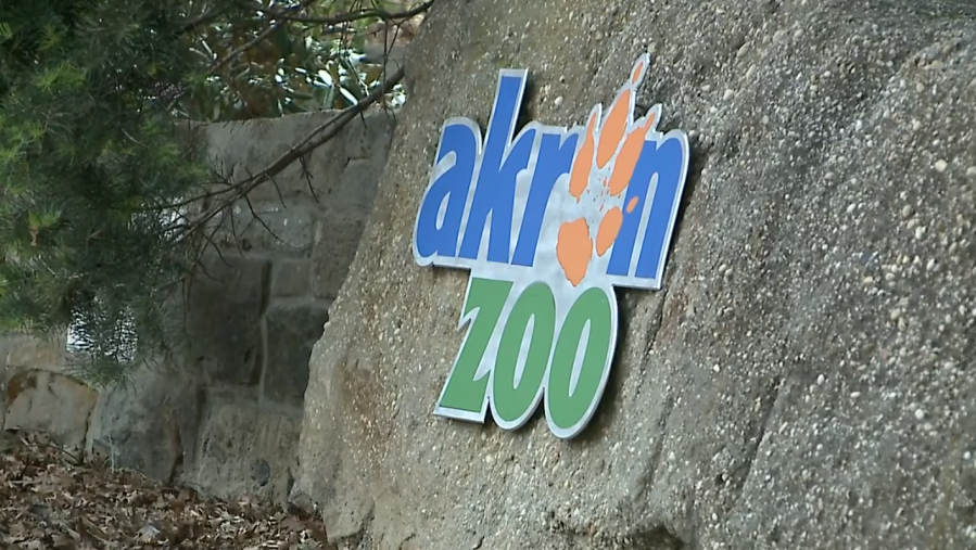 akron-zoo-evacuated,-closed-after-bomb-threat