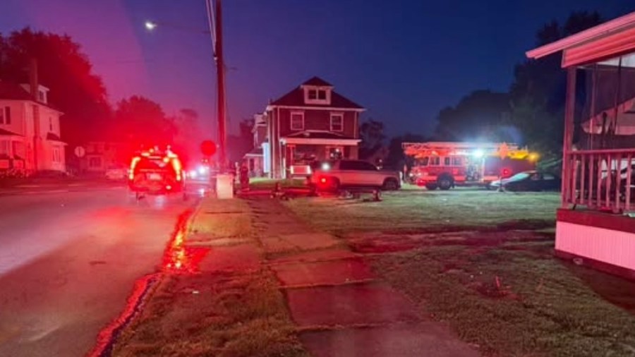 cat-saved-from-sharon-house-fire