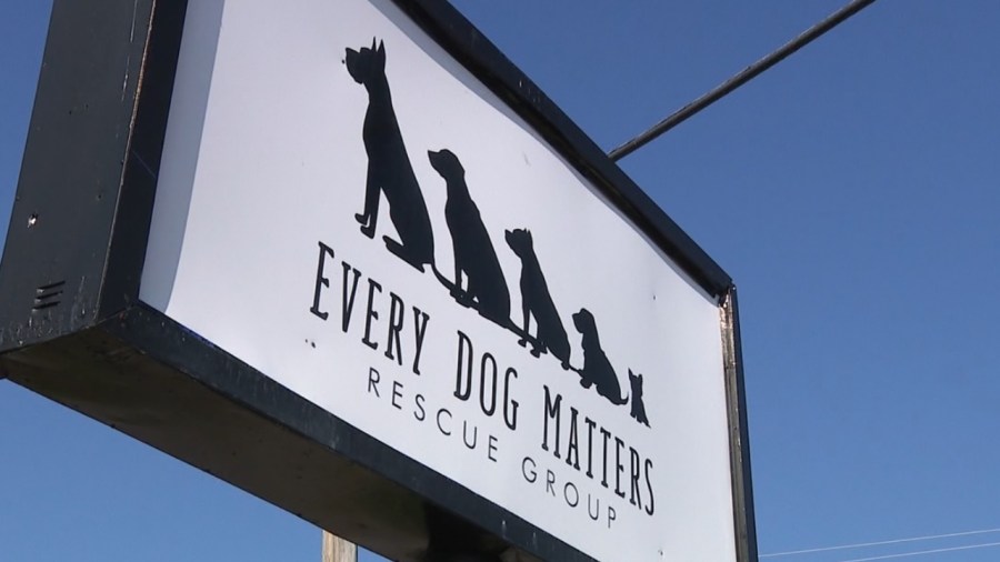 ‘every-dog-matters’-to-hold-bar-crawl