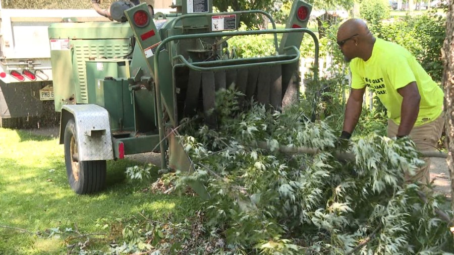 tree-services-kept-busy-after-another-round-of-storms