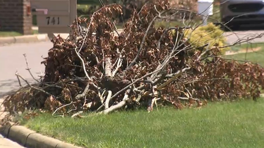 mahoning-county-moves-storm-debris-cleanup-up-to-tuesday