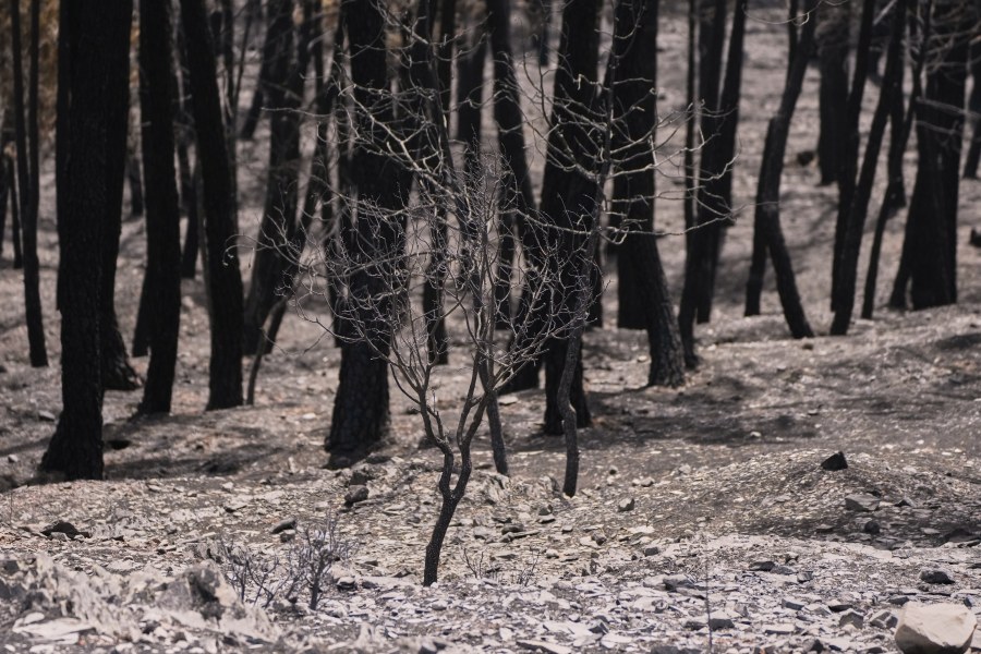firefighters-in-central-spain-battle-huge-wildfire-during-heat-wave