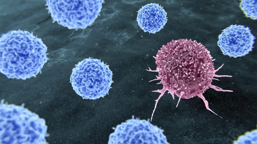 toxic-chemicals-found-in-new-jersey-‘cancer-cluster’-town