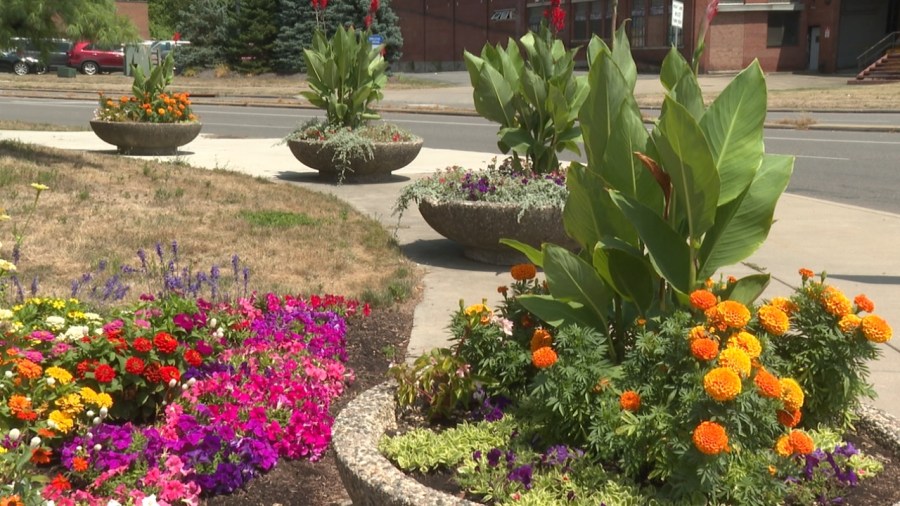 time-to-nominate-beautiful-spots-in-youngstown-for-annual-award