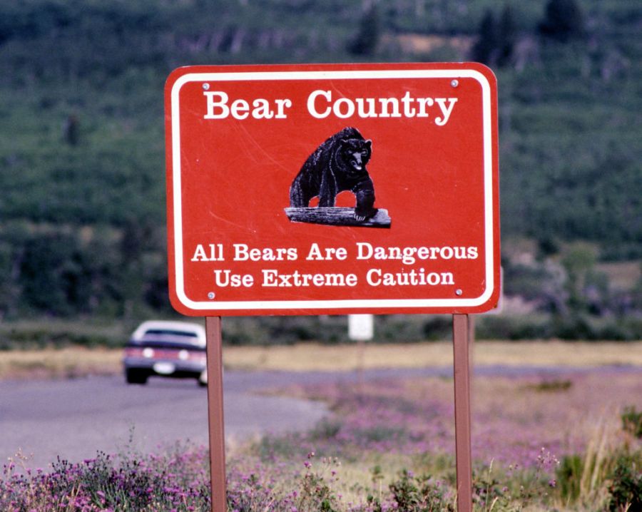 report-details-hiker’s-last-moments-before-apparent-fatal-bear-attack-in-glacier-national-park