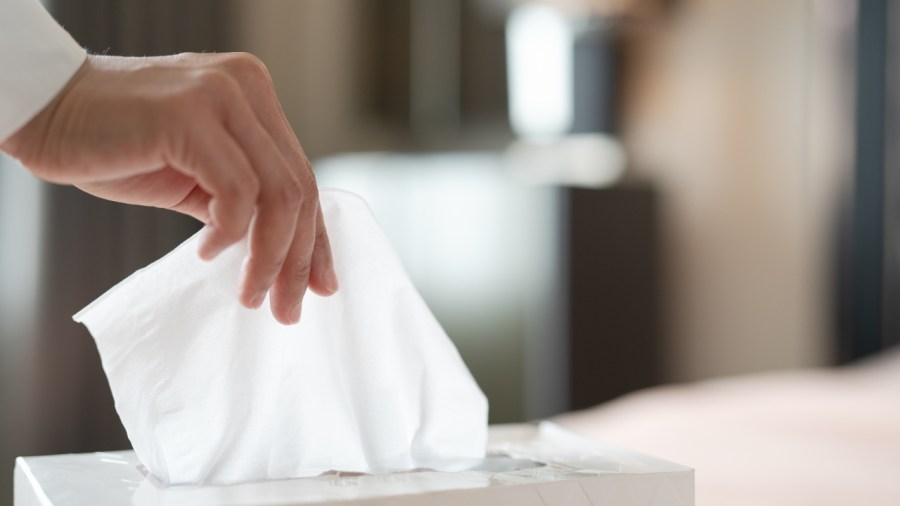 summer-allergy-culprits-and-what-to-do-about-them