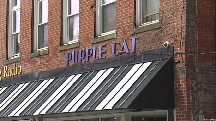 the-purple-cat-to-open-new-halloween-themed-art-hub