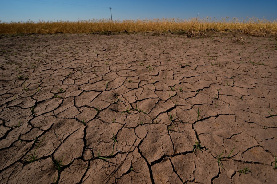 ‘mini-dust-bowl’-could-be-forming-in-the-us,-expert-warns.-will-el-nino-make-it-worse?