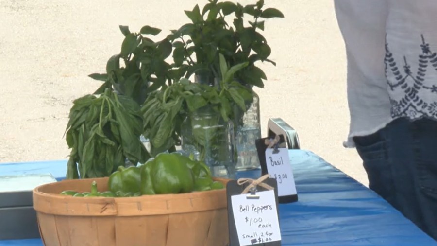 vendors-sell-out-after-successful-farmers-market