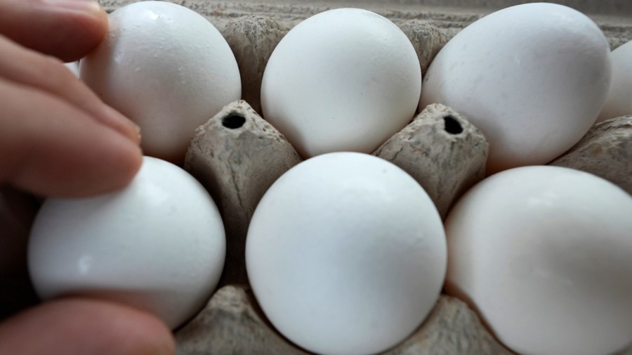 dozens-sickened-across-17-states-in-salmonella-outbreak-linked-to-recalled-eggs:-what-to-know
