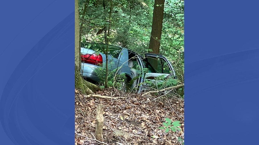 driver-rescued-after-driving-off-road-in-mill-creek-park